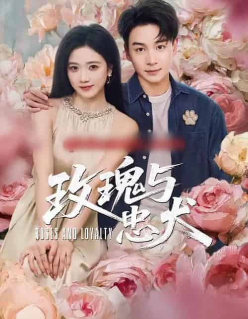 玫瑰与忠犬(80集全)范高坡&雯婕-初遇资源网
