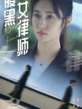 腹黑女律师（86集）-初遇资源网