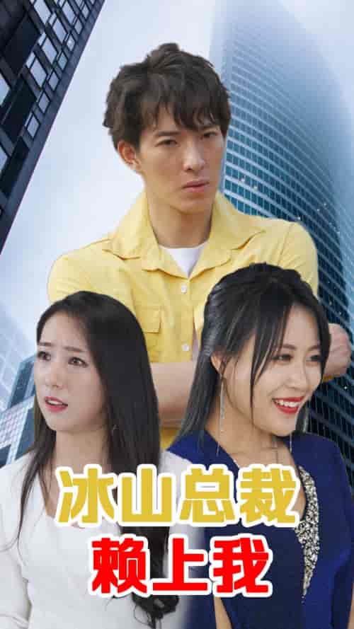 冰山总裁赖上我-110集-初遇资源网