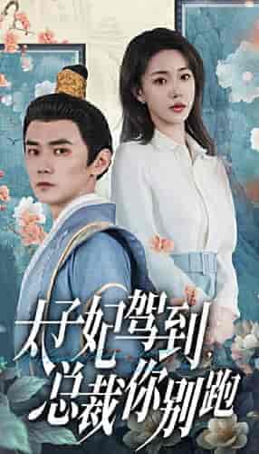 太子妃驾到,总裁你别跑(80集)-初遇资源网