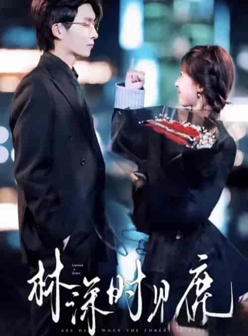 林深时见鹿(96集)-初遇资源网