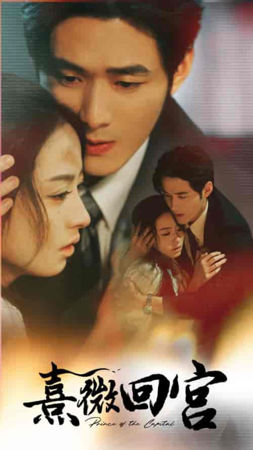 熹微回宫（61集全）王艺阳＆孟佳辉-初遇资源网