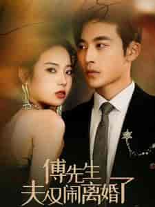 傅先生夫人又闹离婚了（80集）李艺璇-初遇资源网