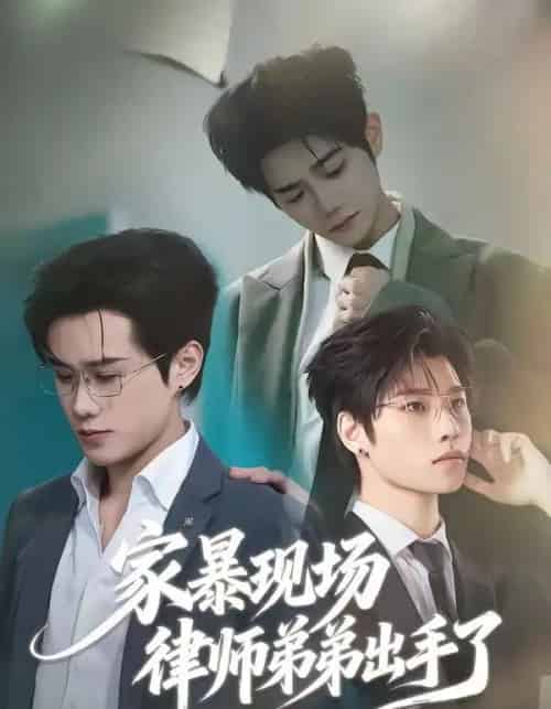 家暴现场律师弟弟出手了（30集全）紫铭＆宵羽宁-初遇资源网