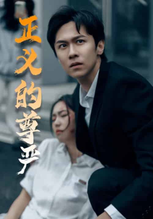 正义的尊严（35集全）-初遇资源网