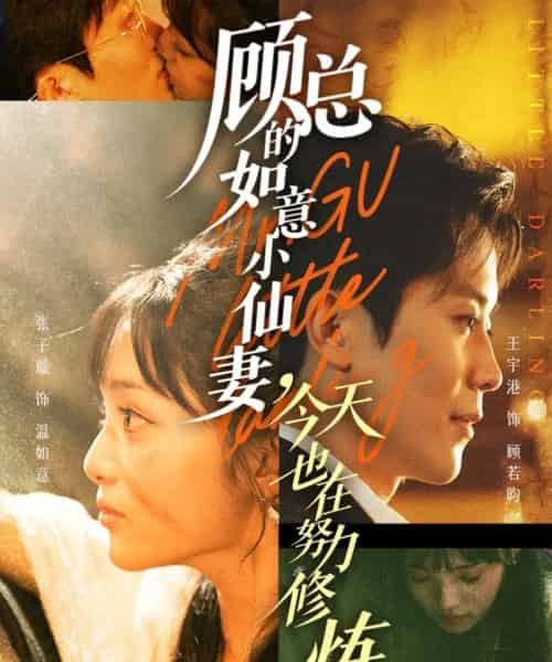 顾总的如意小仙妻，今天也在努力修炼（60集全）王宇港＆张子璇-初遇资源网