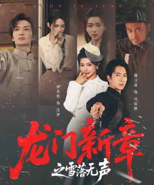 龙门新章之雪落无声（62集全）傅汉源＆林君怡-初遇资源网