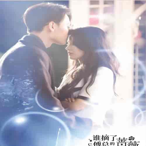 谁摘了傅总的蔷薇（99集）-初遇资源网