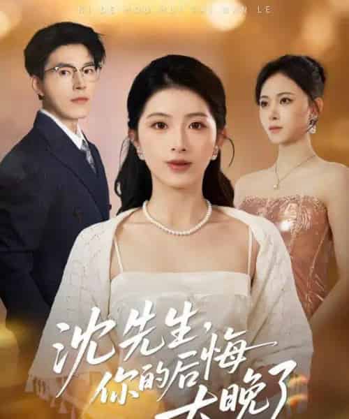 沈先生，你的后悔太晚了（40集全）肖琳＆翟中星＆王慧珠-初遇资源网