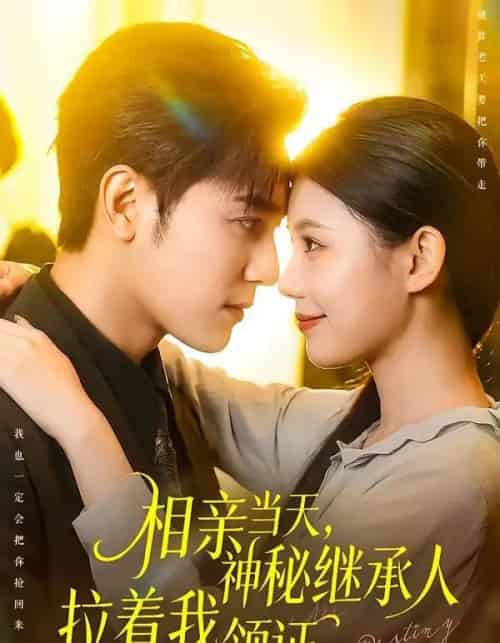 相亲当天,神秘继承人拉着我领证 相亲当天,神秘继承人拉着我领证