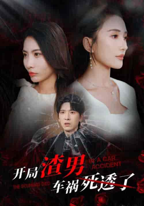 开局渣男车祸死透了（38集全）顾羡诚＆季宁心-初遇资源网