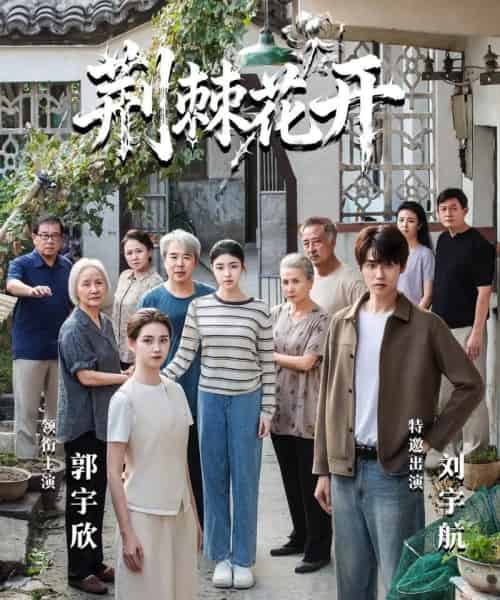jing｜棘花开（60集全）刘宇航＆郭宇欣-初遇资源网