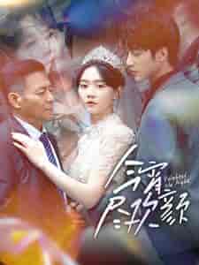 今宵尽欢颜（99集）-初遇资源网