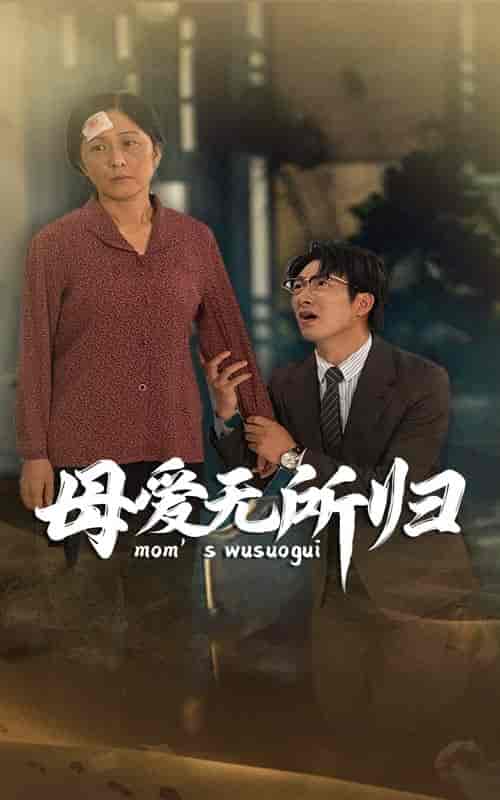 母爱无所归（33集）-初遇资源网