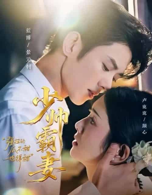 少帅霸妻，强扭的瓜不甜也得甜（70集全）蓝博＆卢鹿鹿-初遇资源网