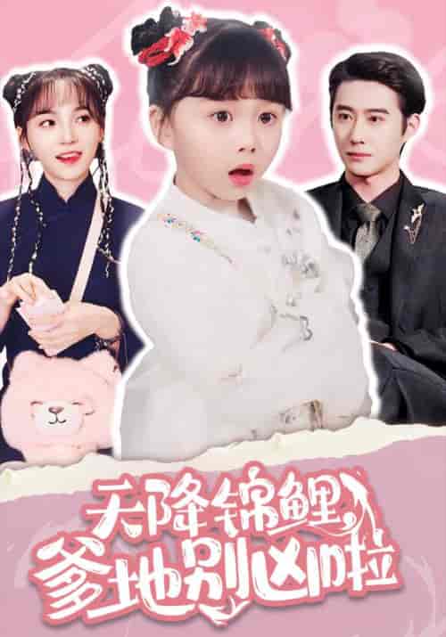 天降锦鲤，爹地别凶啦（62集全）厉霆琛＆小八-初遇资源网