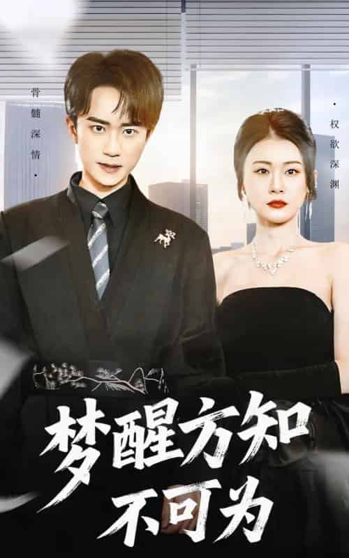 梦醒方知不可为(49集全)李永臻&叶一宁-初遇资源网