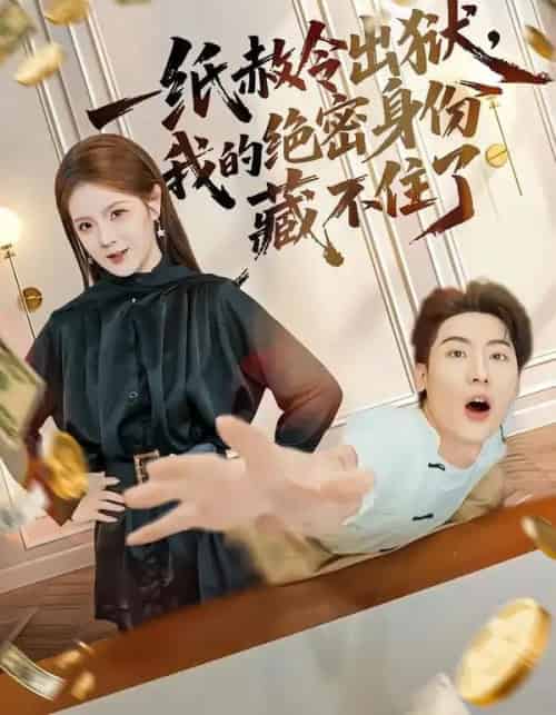 一纸赦令出狱,我的绝密身份藏不住了(80集全)吕彦霏&张龙-初遇资源网