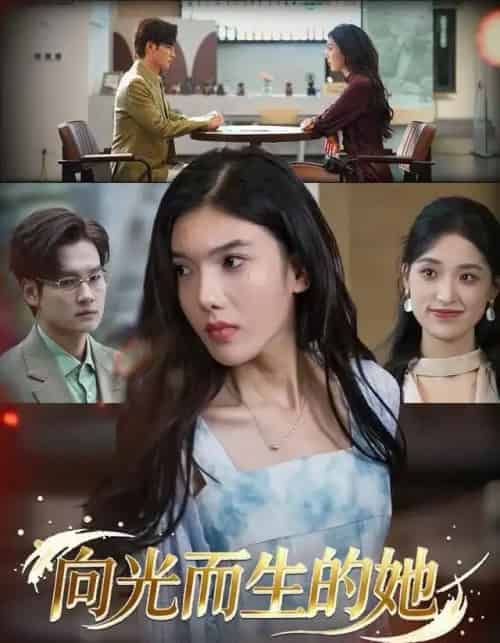 向光而生的她（36集全）王子茜＆刘国文-初遇资源网