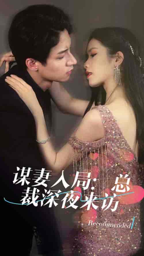 谋妻入局：总裁深夜来访（108集）-初遇资源网