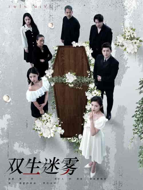 双生迷雾（80集）-初遇资源网