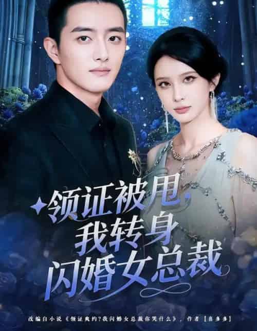 领证被甩,我转身闪婚女总裁(80集全)顾梢姌&王晨旭-初遇资源网