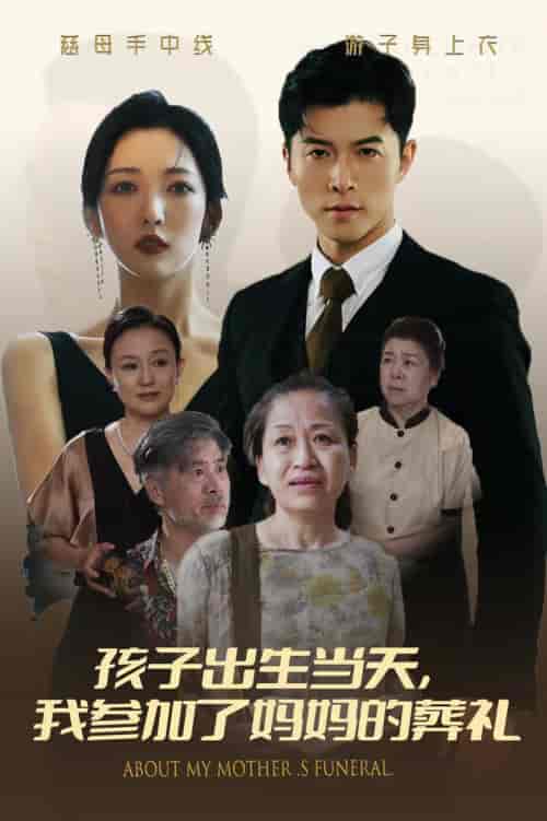 孩子出生当天，我参加了妈妈的葬礼（75集全）赵琪琪-初遇资源网