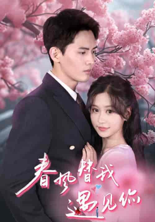 春风替我遇见你（100集）黎不忘＆凌念-初遇资源网