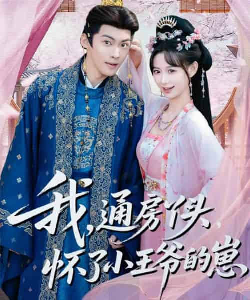 我，通房丫头，怀了小王爷的崽（60集全）高张博＆盛佳琦-初遇资源网