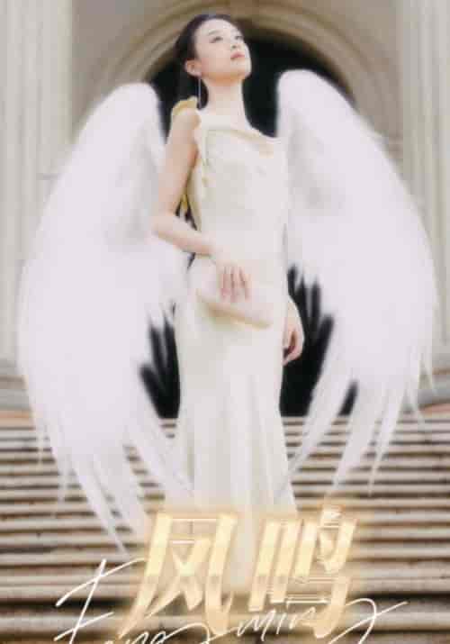 凤鸣需改名（48集全）褚敬轩＆齐书音-初遇资源网