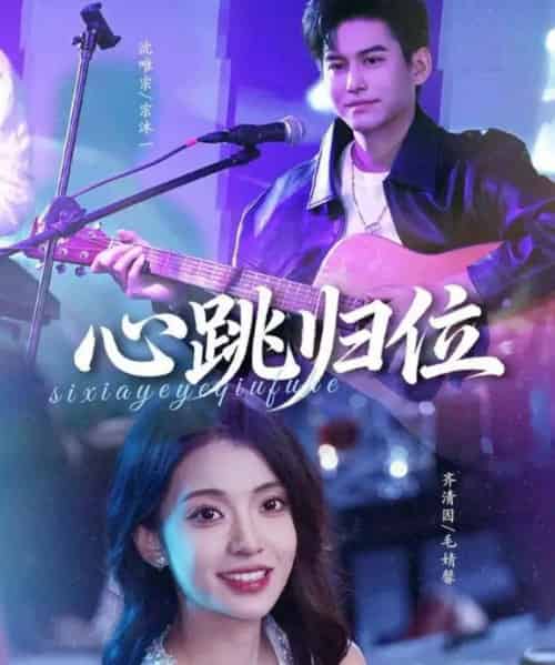 心跳归位（82集全）宗沐一＆毛婧馨-初遇资源网