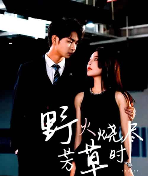 野火烧尽芳草时（65集）黄垚＆闫妍-初遇资源网