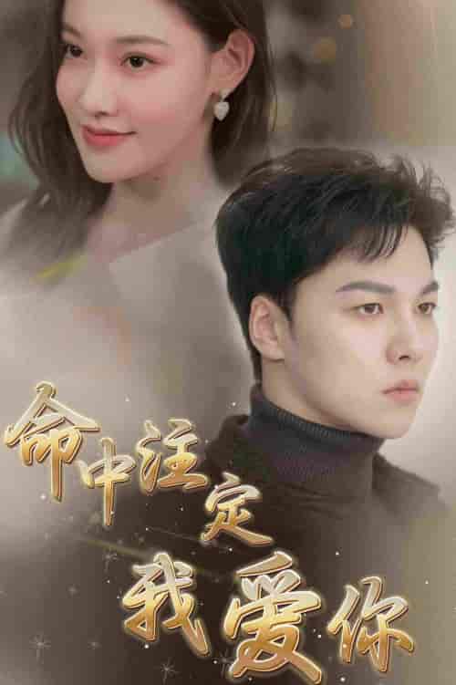 命中注定我爱你（75集）-初遇资源网
