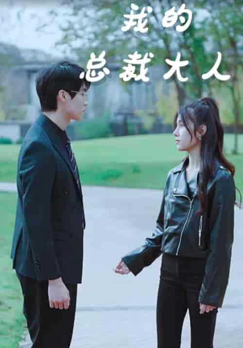 我的总裁大人（85集）-初遇资源网