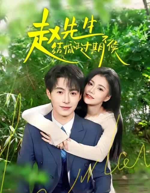 赵先生结婚证过期不候（50集全）郭伊慧＆张宸硕 - 夸克短剧