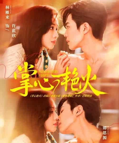 掌心艳火（70集全）谭思源＆林雁来-初遇资源网