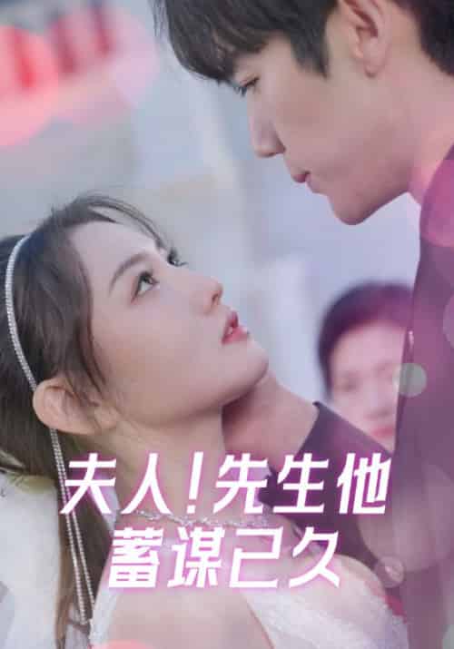 夫人！先生他蓄谋已久（99集全）陆宴时＆叶南笙-初遇资源网