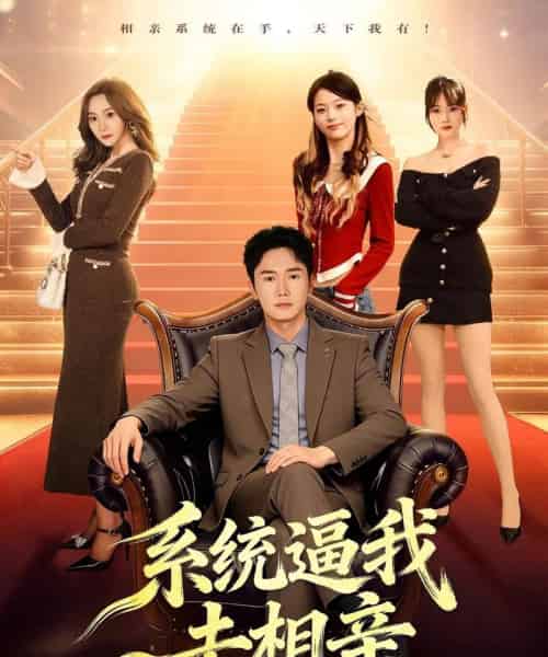 系统逼我去相亲（67集全）许顺利＆鹿子祺-初遇资源网