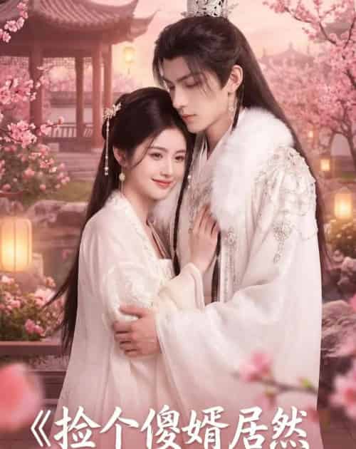 捡个傻婿居然是落难皇嗣(35集全)AI-初遇资源网