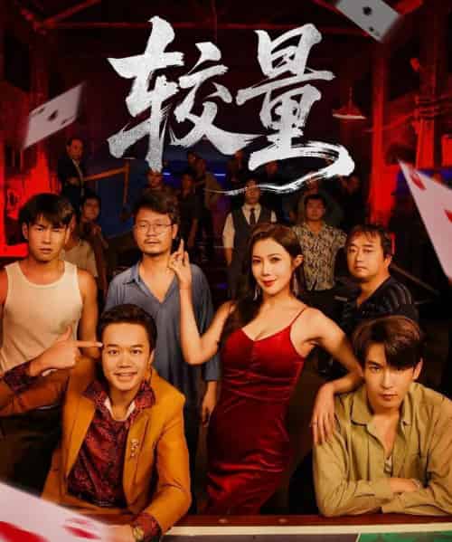 较量（70集全）沈照程＆祝昕愿-初遇资源网