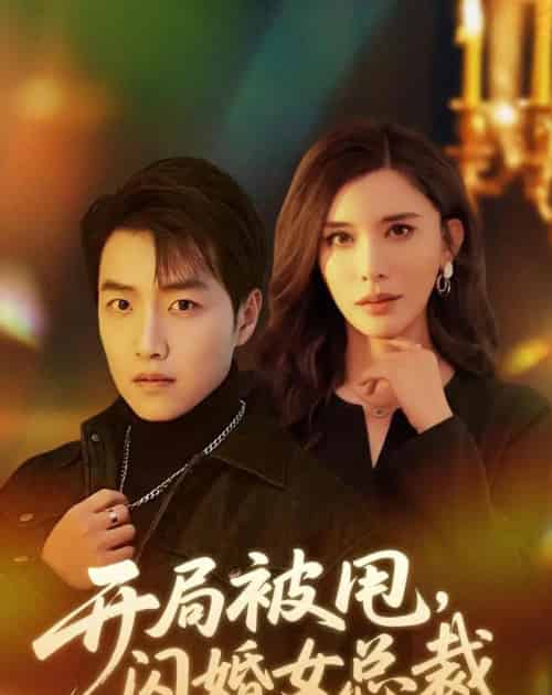 开局被甩,闪婚女总裁(80集全)任志鹏&王希如-初遇资源网