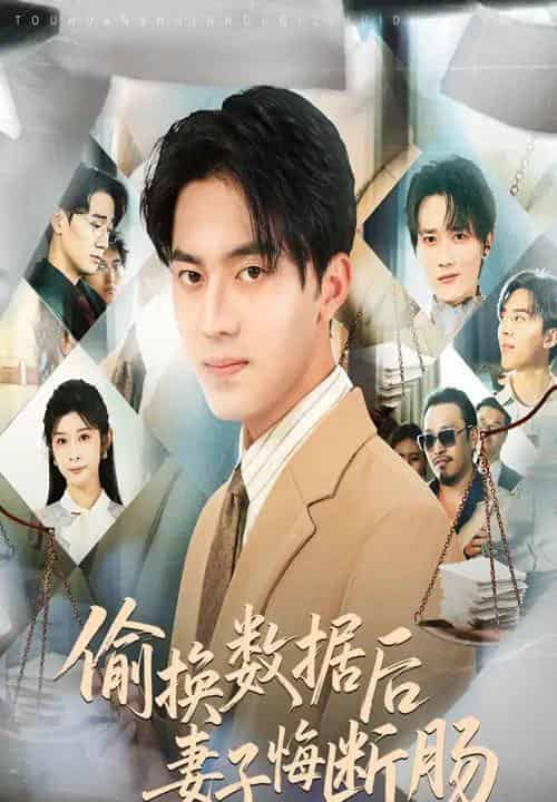 偷换数据后妻子悔断肠(63集)王言睿&吴帆-初遇资源网