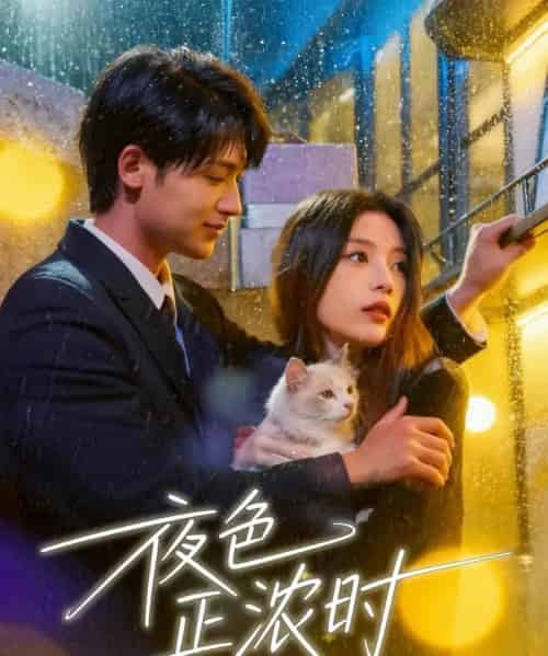 夜色正浓时（32集全）徐梅＆谭伟英＆博之-初遇资源网
