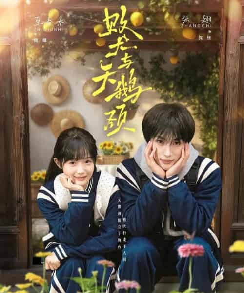 败犬与天鹅颈(71集全)张翅&至春禾-初遇资源网