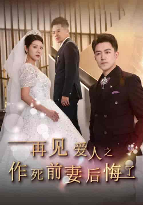 再见爱人之作死前妻后悔了（30集全）裴诚＆苏禾-初遇资源网