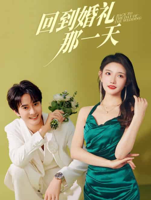 回到婚礼那一天（88集全）陈冠峄＆常丹丹-初遇资源网