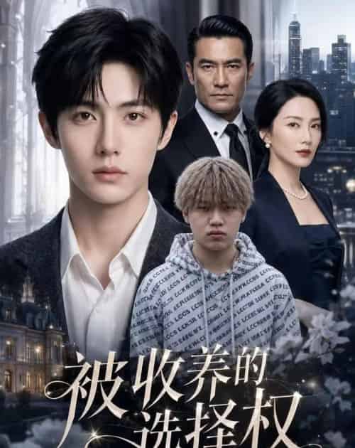 被收养的选择权(88集全)AI-初遇资源网