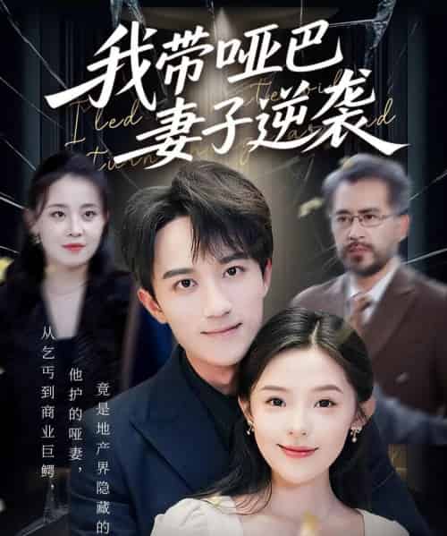 我带哑巴妻子逆袭 共75集-初遇资源网