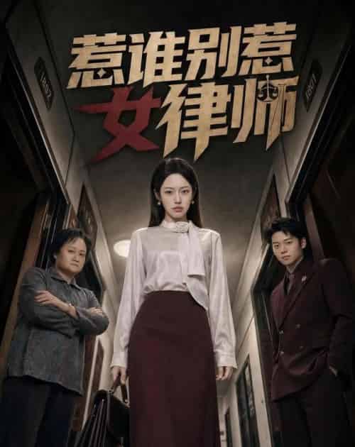 惹谁别惹女律师(61集全)胡继月&刘广平-初遇资源网