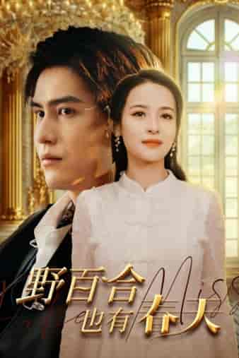 野百合也有春天(85集)王霭玲-初遇资源网